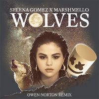 Cover Selena Gomez x Marshmello - Wolves