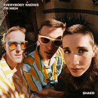 Cover Shaed - Everybody Knows I'm High