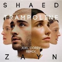 Cover Shaed & Zayn - Trampoline