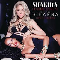 Cover Shakira feat. Rihanna - Can't Remember To Forget You