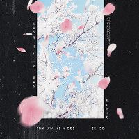 Cover Shawn Mendes & Zedd - Lost In Japan (Remix)