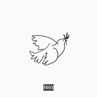Cover Shindy - Free Spirit