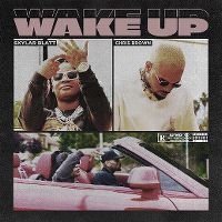 Cover Skylar Blatt, Chris Brown - Wake Up