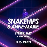Cover Snakehips & Anne-Marie feat. Joey Bada$$ - Either Way