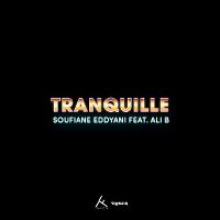 Cover Soufiane Eddyani feat. Ali B - Tranquille
