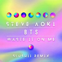 Cover Steve Aoki feat. BTS - Waste It On Me