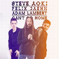 Cover Steve Aoki & Felix Jaehn feat. Adam Lambert - Can't Go Home