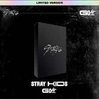 Cover Stray Kids - Go Live
