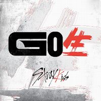 Cover Stray Kids - Go Live