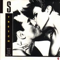 Cover Stretch - Why Did You Do It