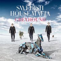 Cover Swedish House Mafia - Greyhound