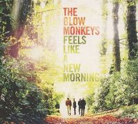 Cover The Blow Monkeys - Feels Like A New Morning