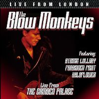 Cover The Blow Monkeys - Live From London