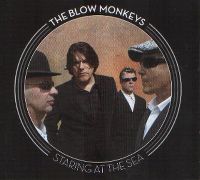 Cover The Blow Monkeys - Staring At The Sea