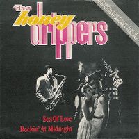 Cover The Honeydrippers - Sea Of Love