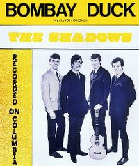 Cover The Shadows - Bombay Duck
