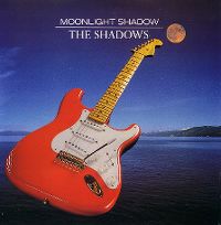 Cover The Shadows - Moonlight Shadow