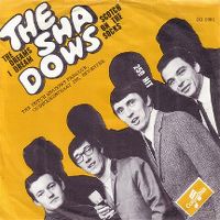 Cover The Shadows - The Dreams I Dream