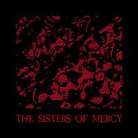 Cover The Sisters Of Mercy - No Time To Cry