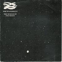 Cover The Waterboys - The Whole Of The Moon