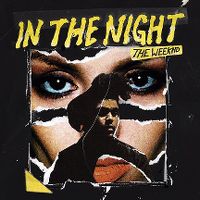 Cover The Weeknd - In The Night