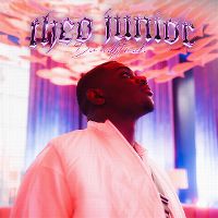 Cover Theo Junior - Du willst mich