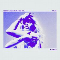 Cover Tiësto, Jonas Blue & Rita Ora - Ritual