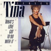 Cover Tina Turner - What's Love Got To Do With It