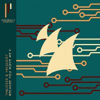 Cover Tinlicker & Helsloot - Because You Move Me