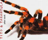 Cover Tito & Tarantula - After Dark