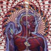 Cover Tool - Lateralus