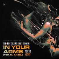 Cover Topic x Robin Schulz x Nico Santos x Paul van Dyk - In Your Arms (For An Angel)