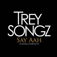 Cover Trey Songz feat. Fabolous - Say Aah