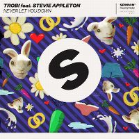 Cover Trobi feat. Stevie Appleton - Never Let You Down