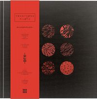 Cover Twenty One Pilots - Blurryface