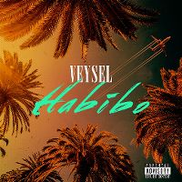 Cover Veysel - Habibo