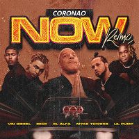 Cover Vin Diesel / Sech / El Alfa / Myke Towers / Lil Pump - Coronao Now (Remix)