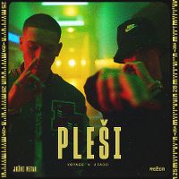 Cover Voyage x J Fado - Pleší
