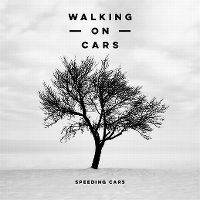 Cover Walking On Cars - Speeding Cars