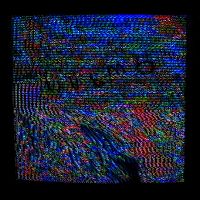 Cover Wandl - Womb
