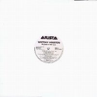 Cover Whitney Houston - My Love Is Your Love