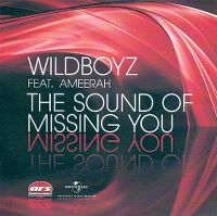 Cover Wildboyz feat. Ameerah - The Sound Of Missing You