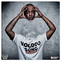 Cover Willy William - Voodoo Song