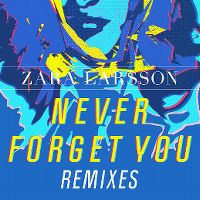 Cover Zara Larsson & MNEK - Never Forget You