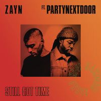 Cover Zayn feat. PartyNextDoor - Still Got Time